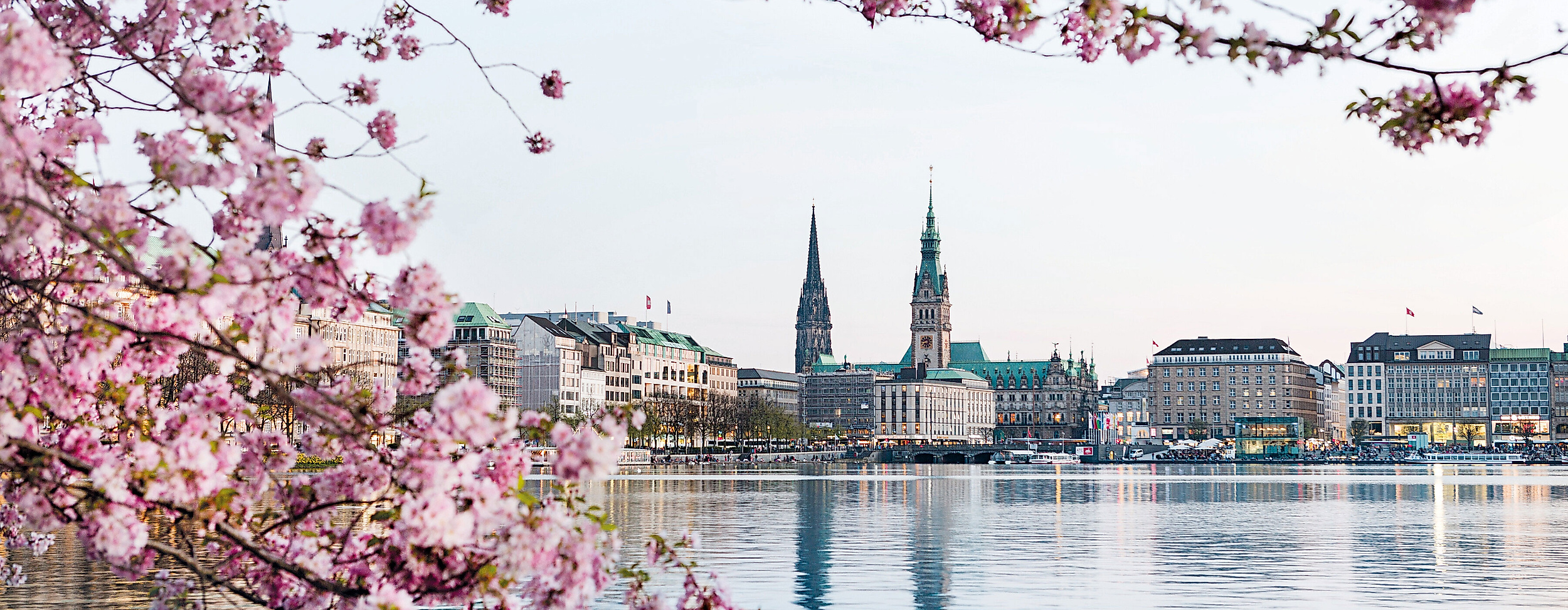 Binnenalster mit Kirschblüten in Hamburg