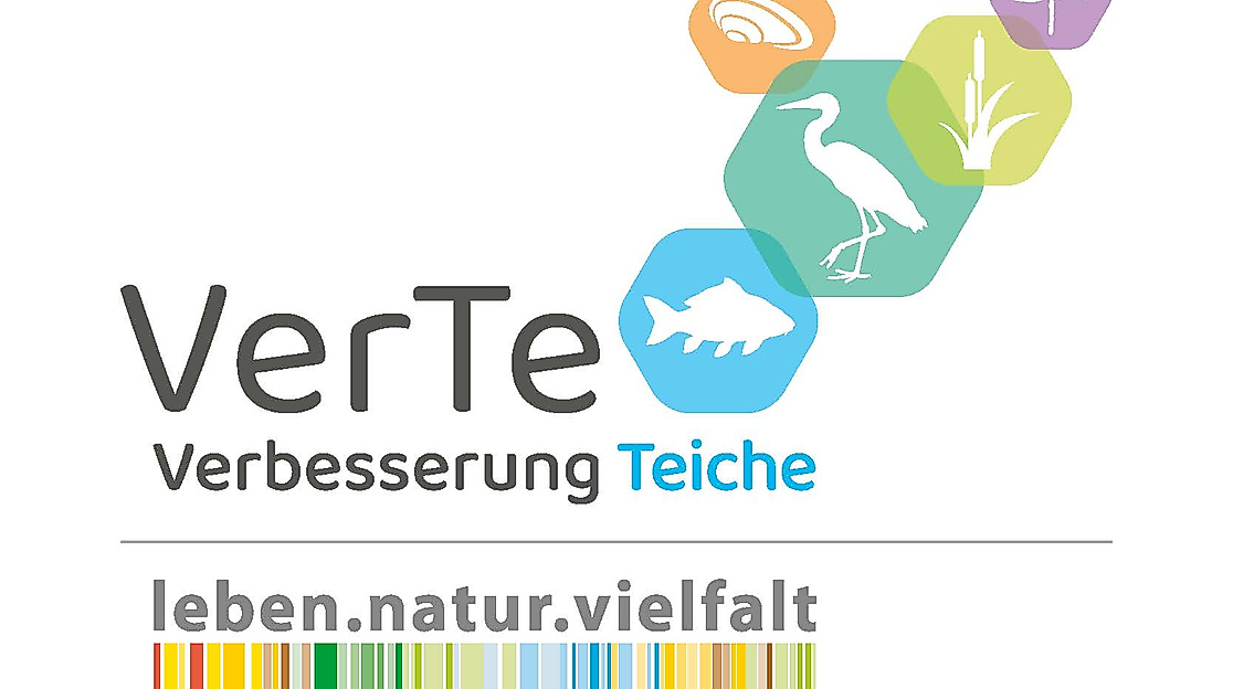 VerTe - Verbesserung Teiche