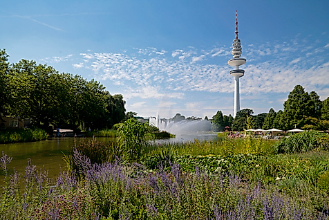 planten-un-blomen_blick-auf-den-fernsehturm_c-christian-spahrbier