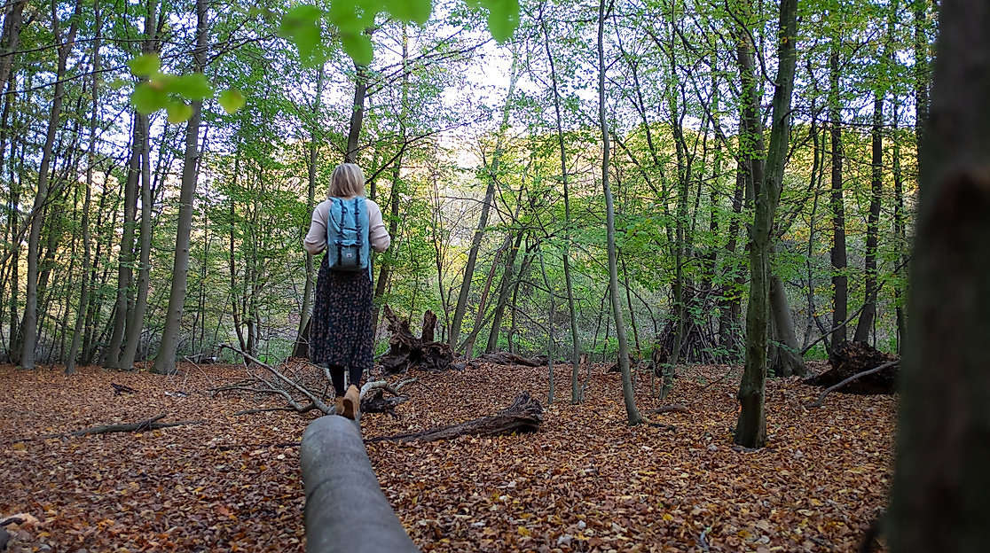 Waldbaden im Herbst in Hamburg und SH | waldimpuls-hamburg