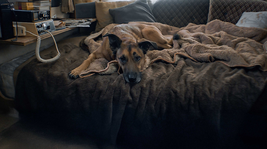 Still-2025-10-05-234903_1.77.1