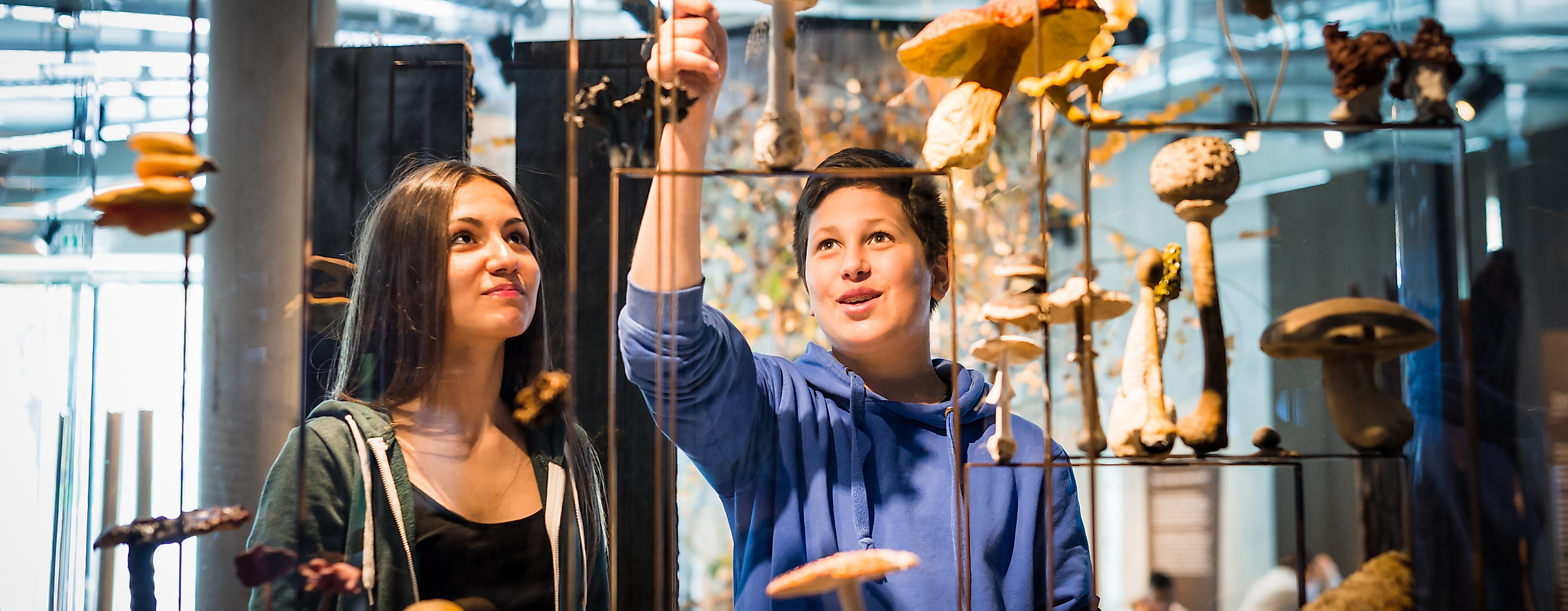 20130606_waelderhaus_ARLT-018