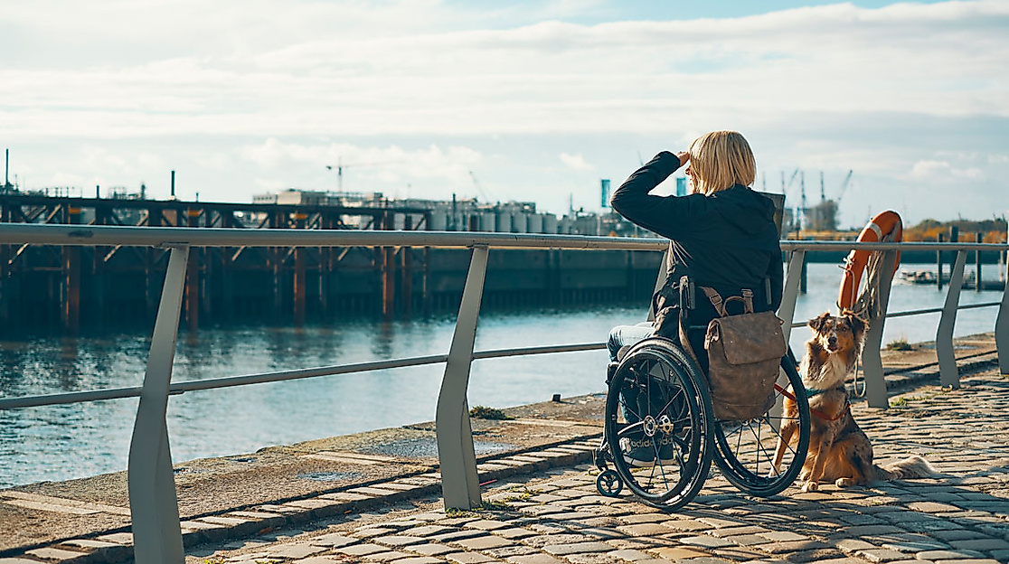 Rollstuhlfahrerin mit Hund blickt auf den Hamburger Hafen, barrierefreier Weg entlang der Hafencity.