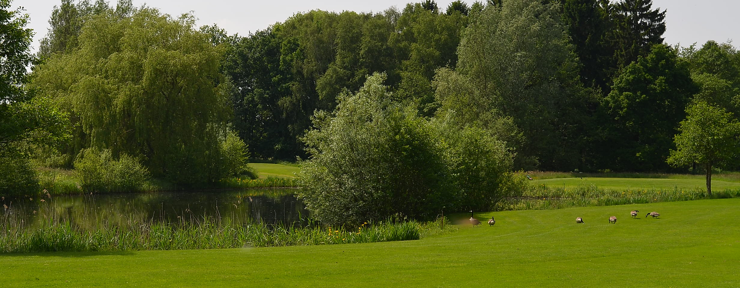 golf-park-peiner-hof_c-golf-park-peiner-hof-ev3