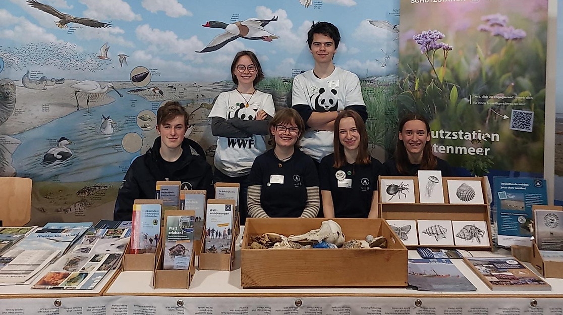 Infostand der Schutzstation Wattenmeer