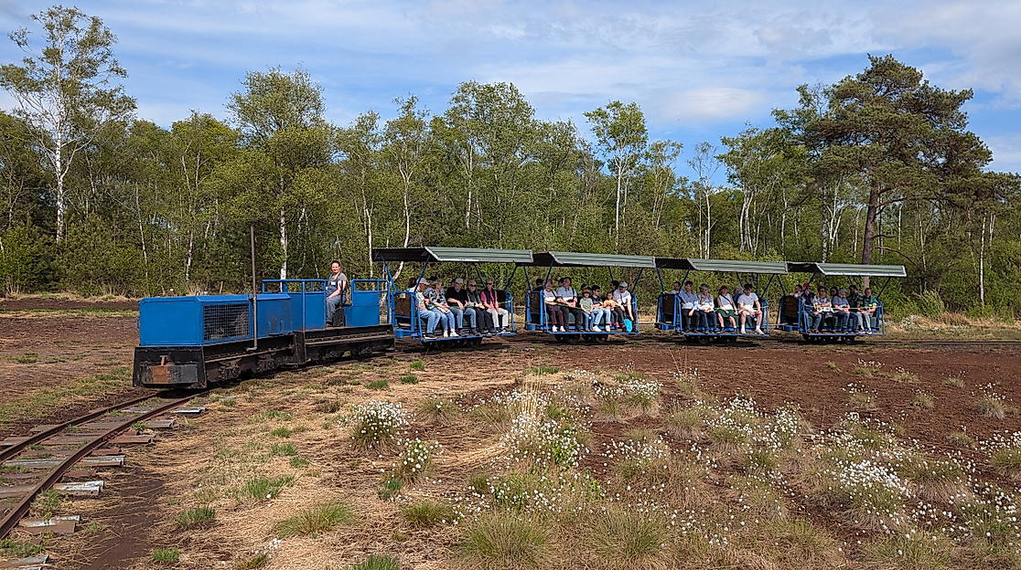 Die Torfbahn tuckert mit Gästen durch das Moor