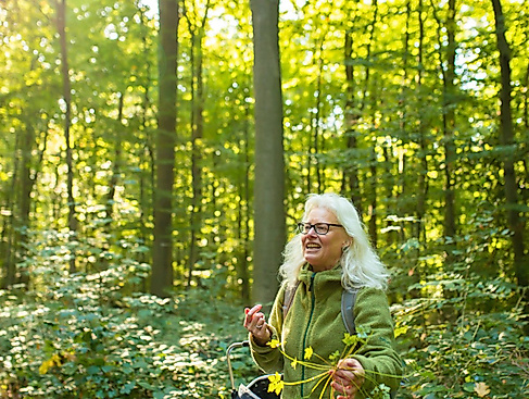 Wildkräuterexpedition wie schmeckt der Frühling
