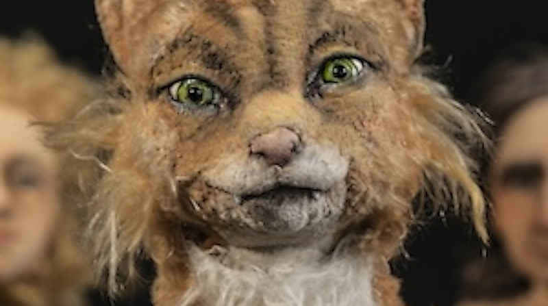 Die Katze, die tut, was sie will - Eine wilde Schöpfungsgeschichte für alle ab 5 Jahren