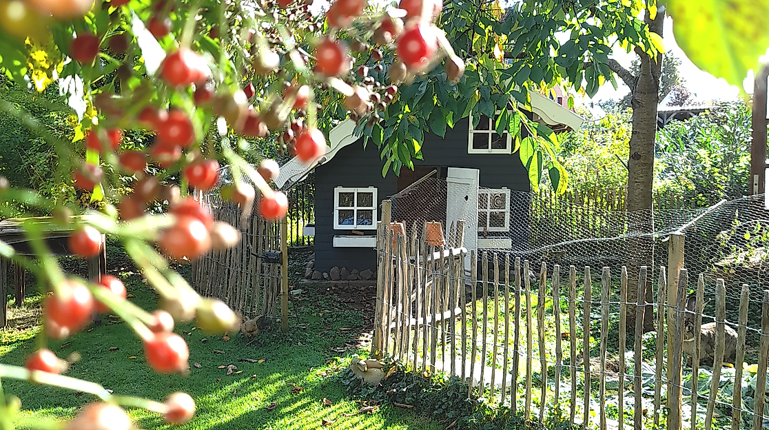 Gartenöffnung Lady Buttercups World