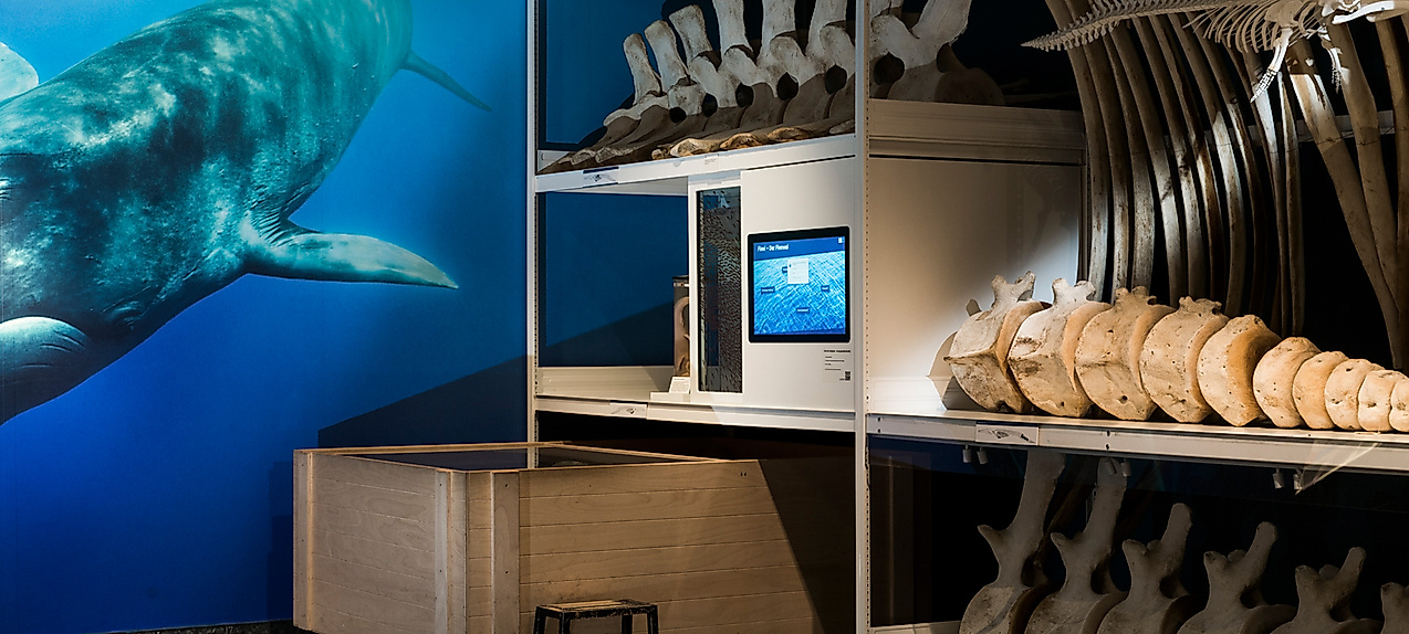 museum-der-natur-paula-markert-4-web-2500x1500