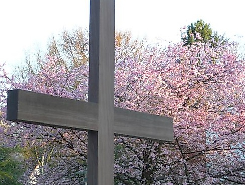 Kreuz
