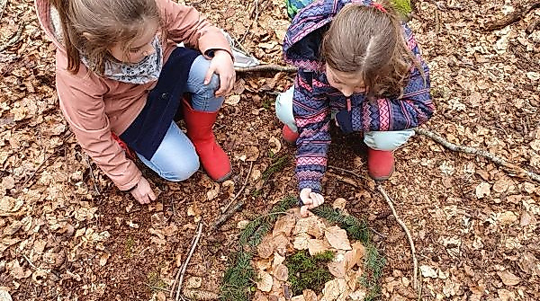 Wald-Entdecker