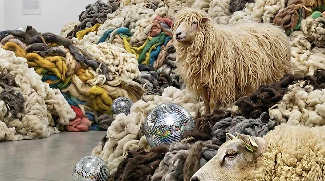 A SYMPHONY OF WOOL