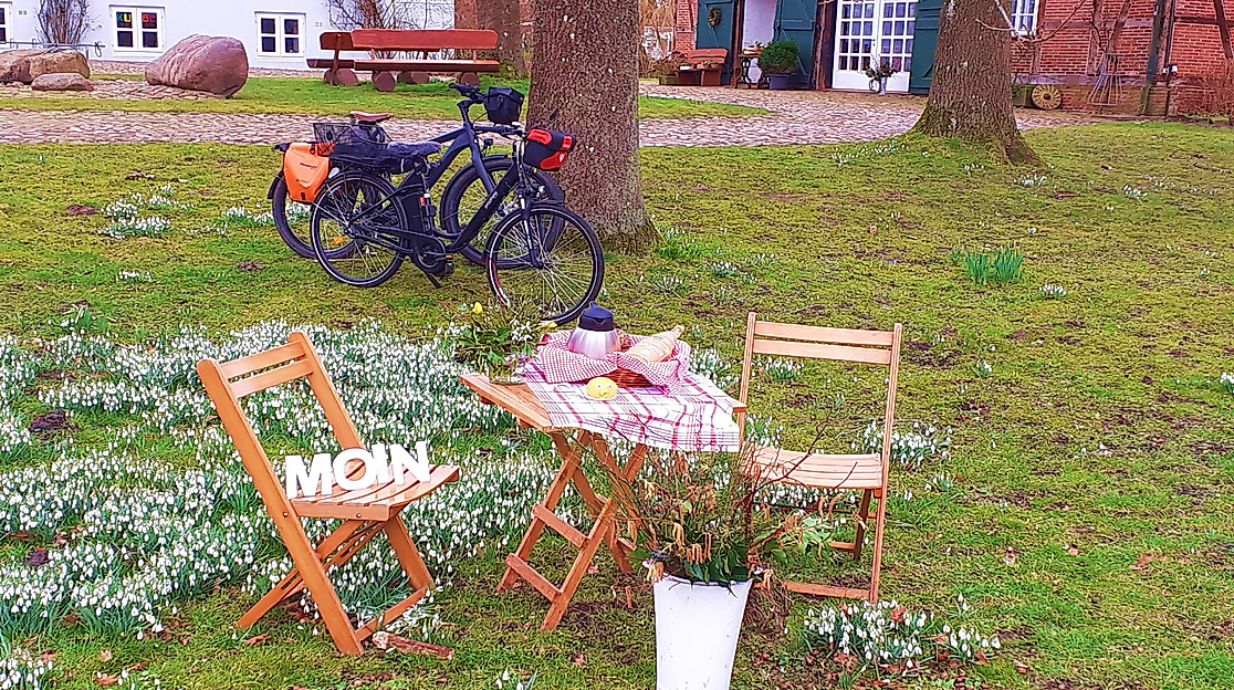 Bild Sommerfrühstück