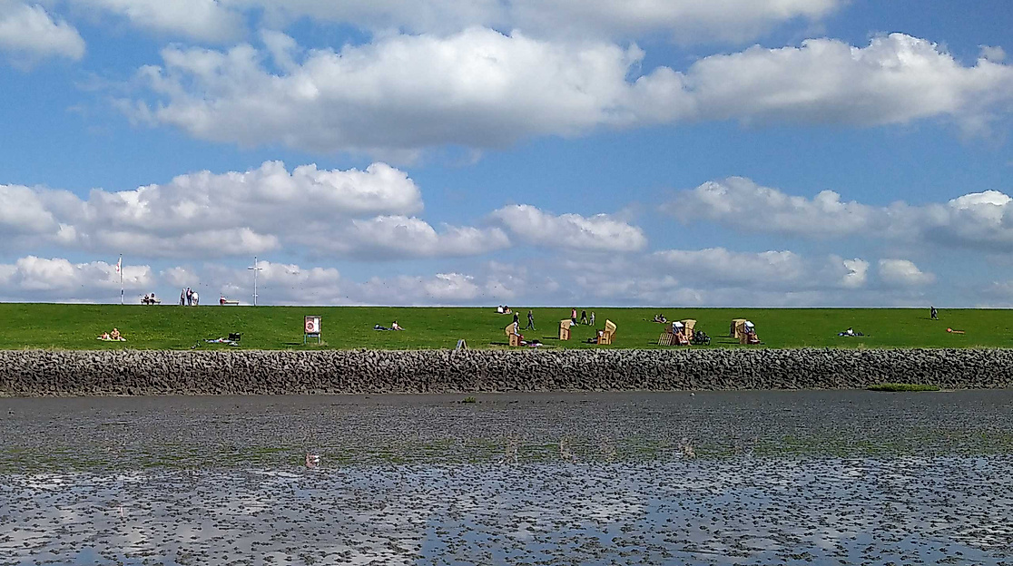 Auf Entdeckungstour: Wattwanderung in der Meldorfer Bucht