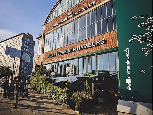 12-Monate-Kunstmeilenpass