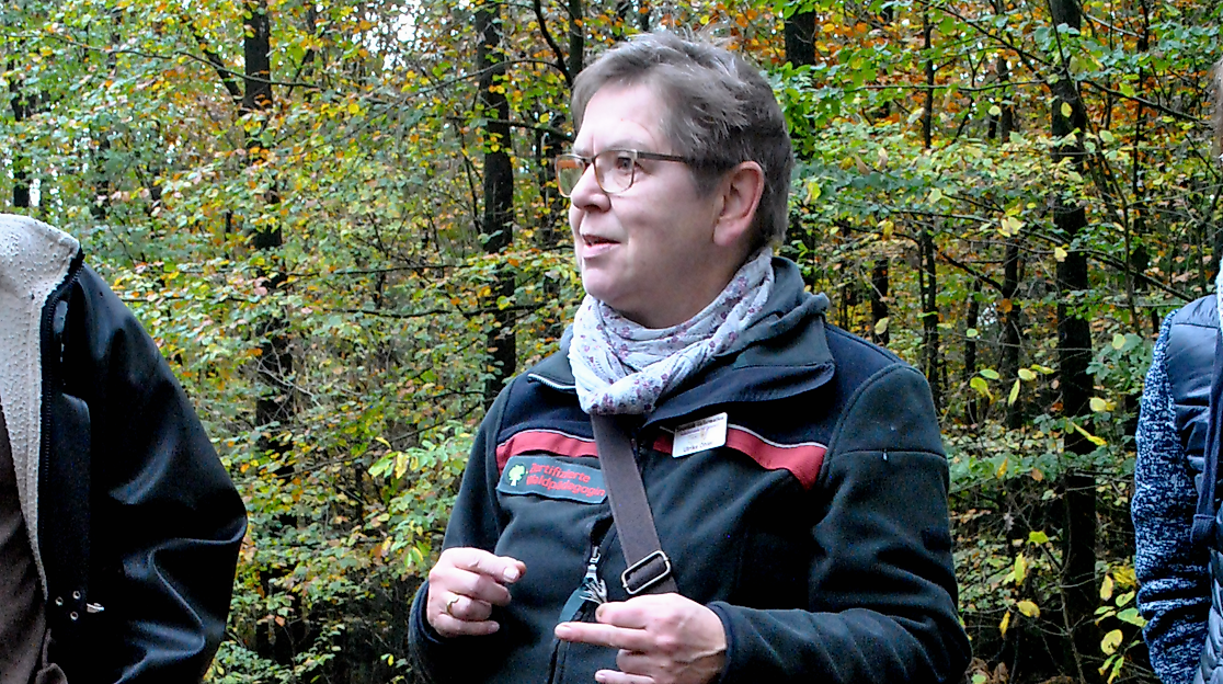 Pilzlehrwanderung in der Samtgemeinde Tarmstedt