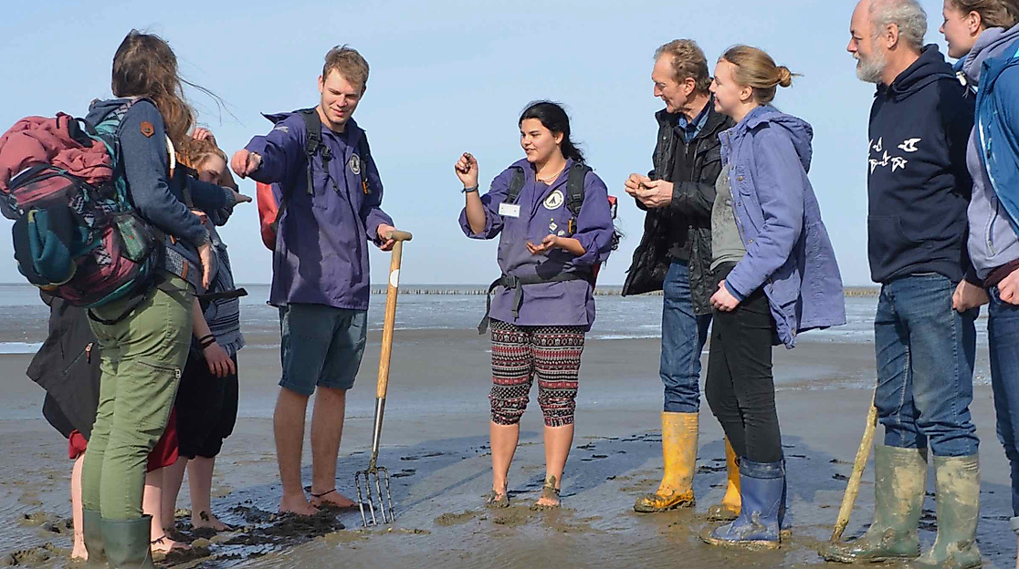 Watt für Einsteiger: Kurze Wattwanderung in Büsum
