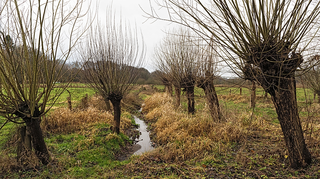 NSG Duvenwischen