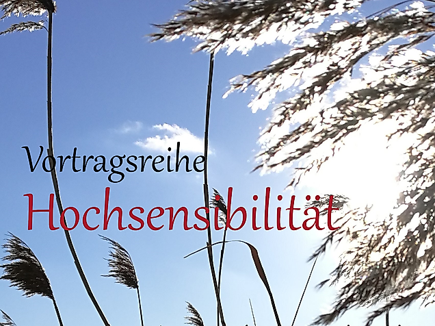 Schilf gerade - nur Himmel - quadrat links 03