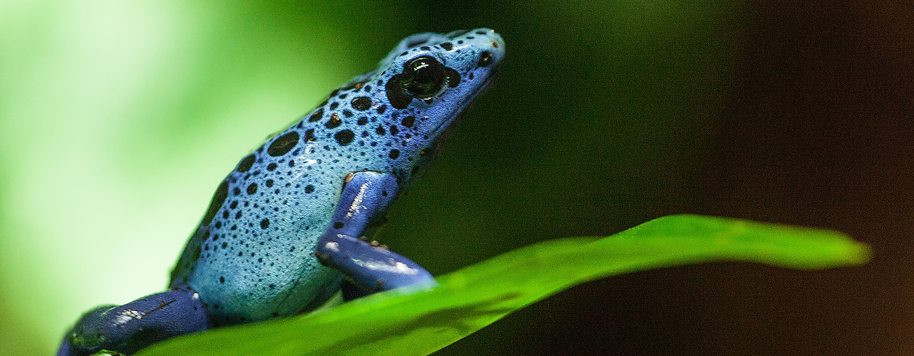 Tropical Aquarium Hagenbeck