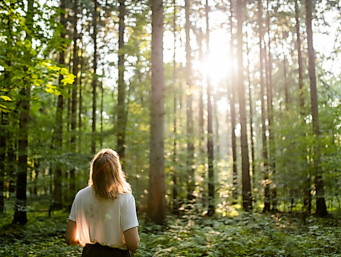 Grüne Auszeit erleben im Wald in Hamburg und  Schleswig-Holstein.