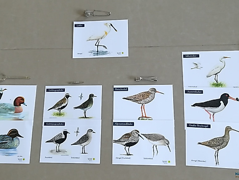 Familienevent: Warum ziehen und nicht chillen?