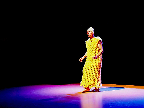 Ein Zebra am Abgrund