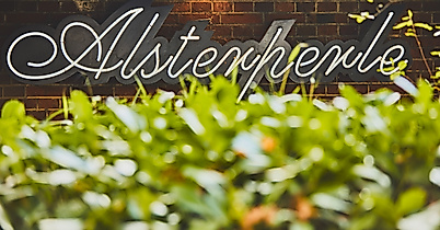 alsterperle_c-2018-thisisjulia-photography-5