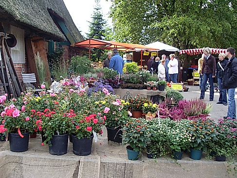 Landmarkt