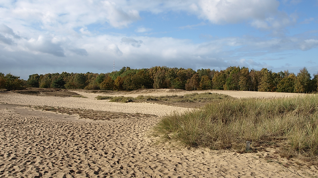 boberger-duenen_c-infohaus-boberg-loki-schmidt-stiftung_04