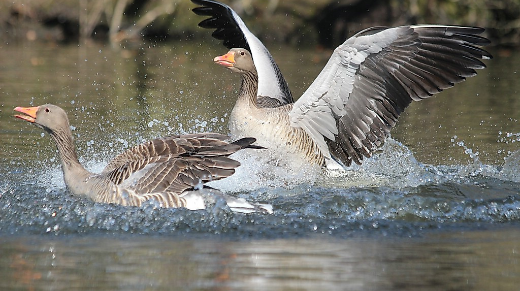 termin_21.03.26_IMG_5569