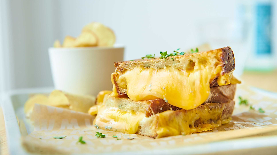 grilled_cheese_restaurant_willis-c-willis