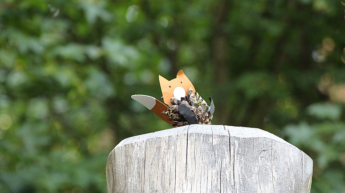 Naturerlebnistag