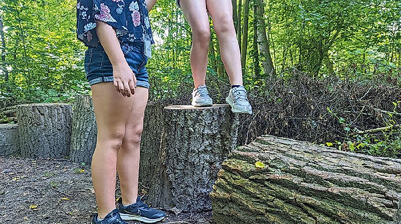 Kinder-Uni: Wunder des Waldes