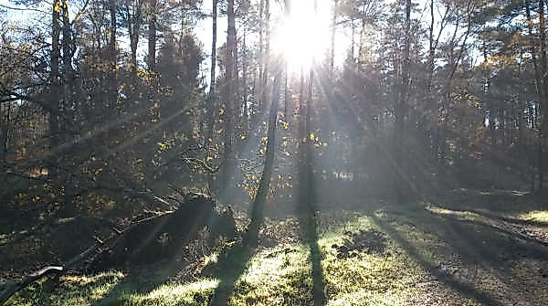 20171113_121136