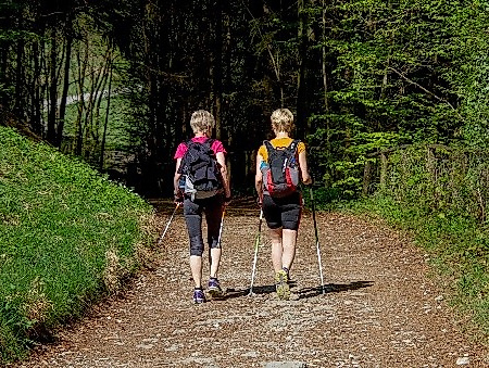 26-10-05 Nordic Walking ©pixabay