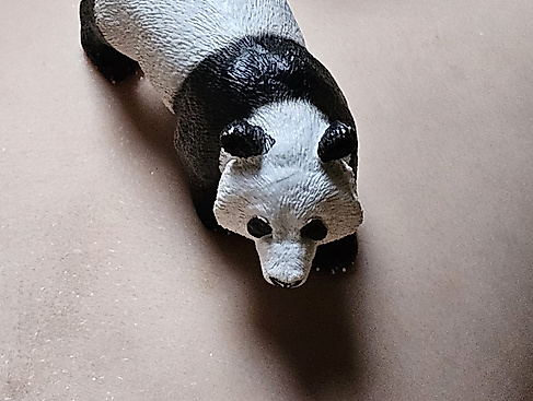 Tristessa und Tante Panda