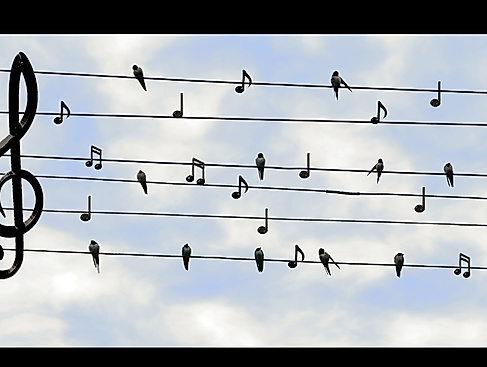 Gottesdienst am Sonntag Kantate