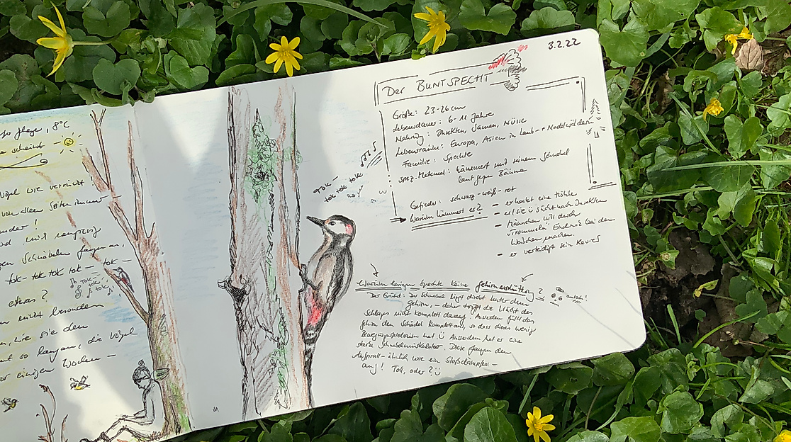 Nature Journaling und WAldbaden