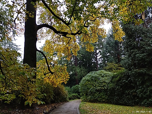Zum Arboretum Marienhof an der Oberalster