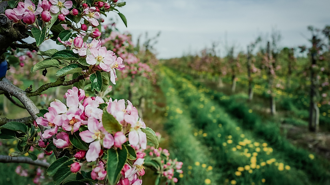 finkenwerder_hhlal_c-2017-geheimtipp-hamburg-1