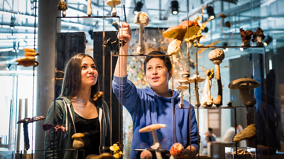 Science Center im Wälderhaus