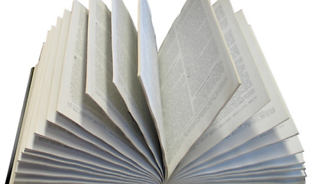 Gespräch zu biblischen Themen