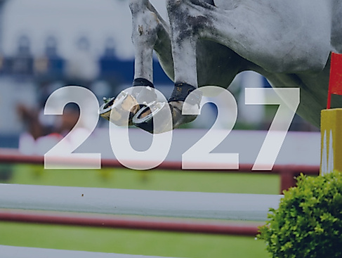 Tageskarte Freitag Springen 2027