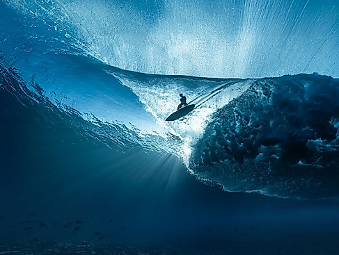 International Ocean Film Tour