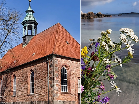 links: Schloßkirche von außen und rechts: Blumen am Strand