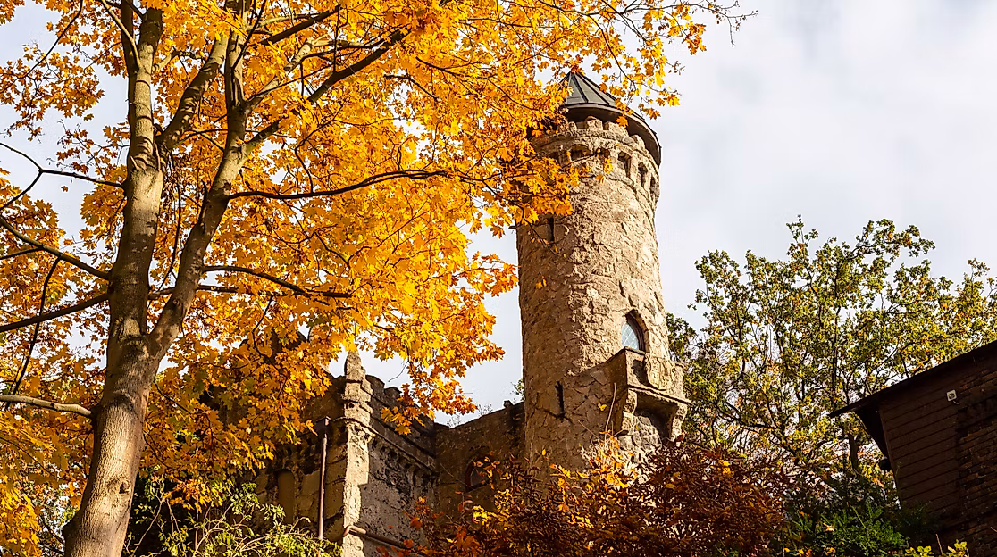 burg-henneberg_hamburger-norden_c-2018-timo-sommer-lee-maas