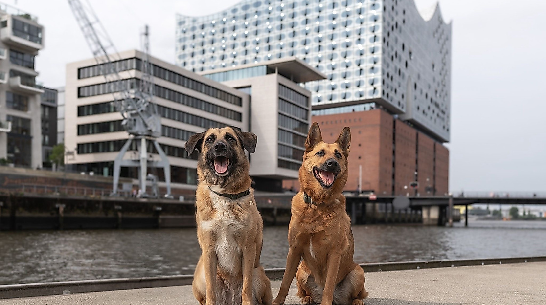 c387d02f-33bd-4fd0-96ec-581eee18e32a