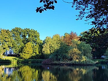 Pilgern in den Abend